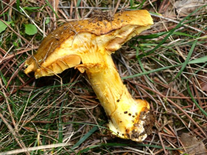PB233610.JPG