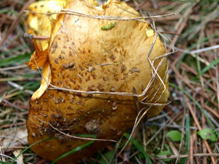 PB233616.JPG