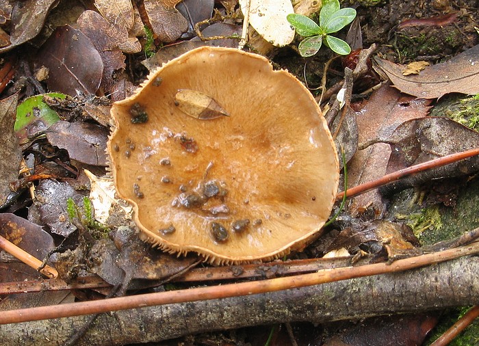 Photo 204.jpg
