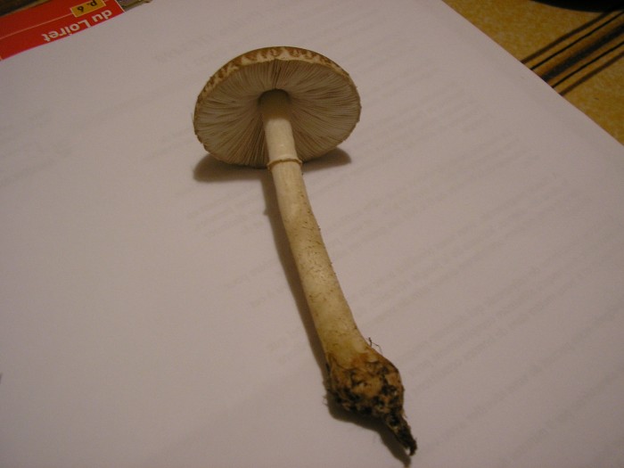 PB250055.JPG