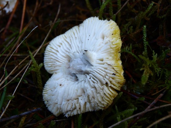 PB303728.JPG