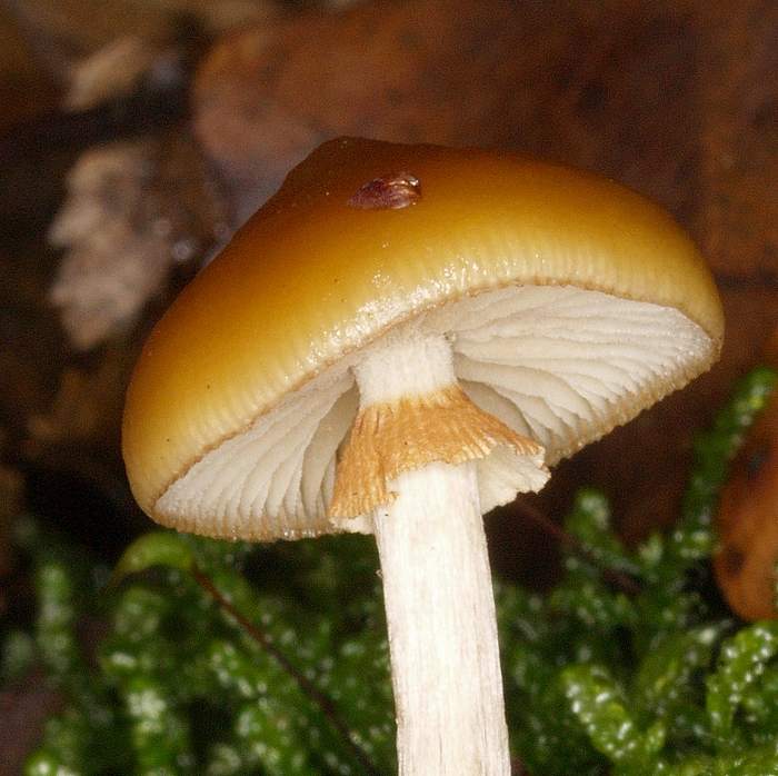 2009_11280080.JPG