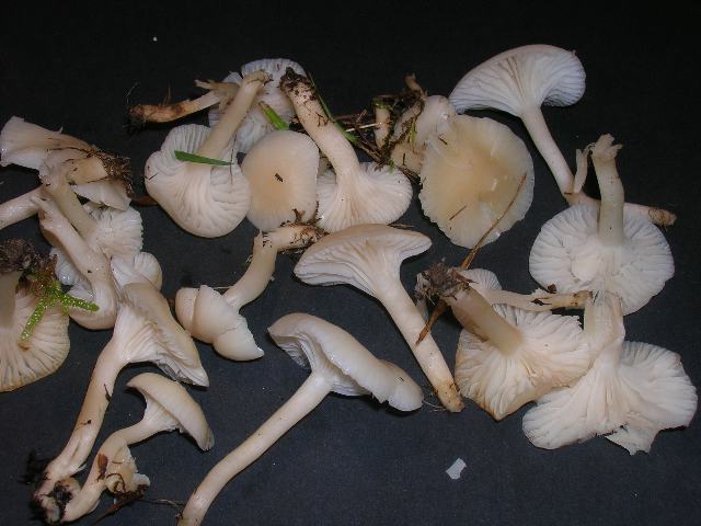 DSCN4677_640x480.jpg