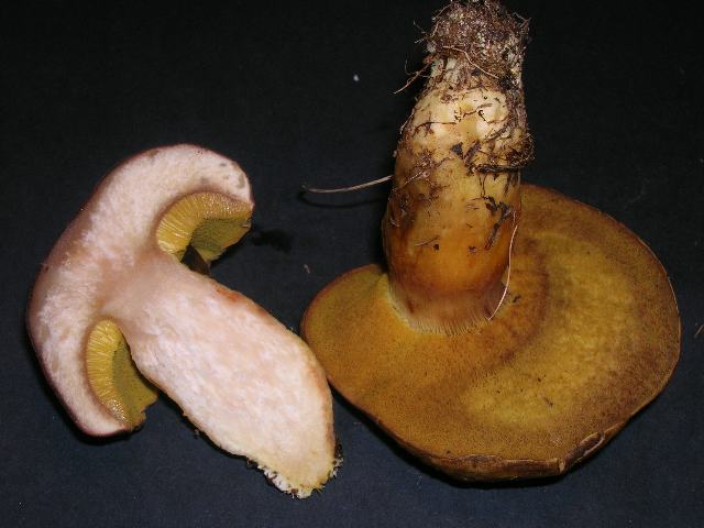 DSCN4683_640x480.jpg