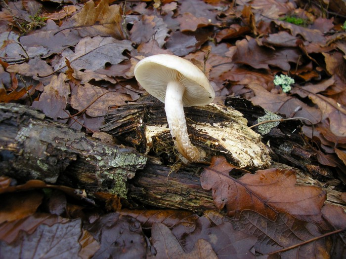 PC050007.JPG