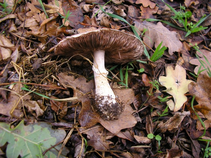 PC060011.JPG
