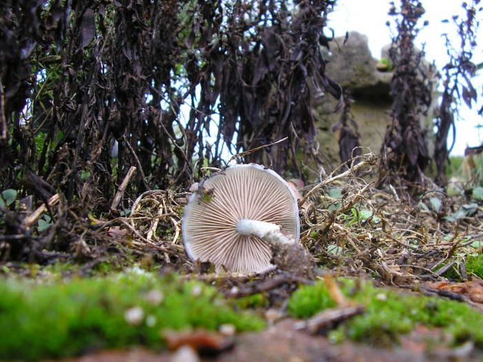 PC080026.JPG