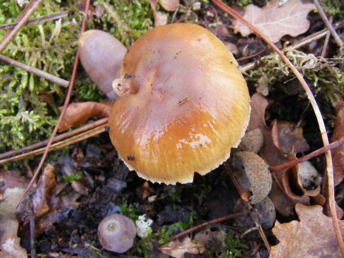 2009_0912essai0040.JPG