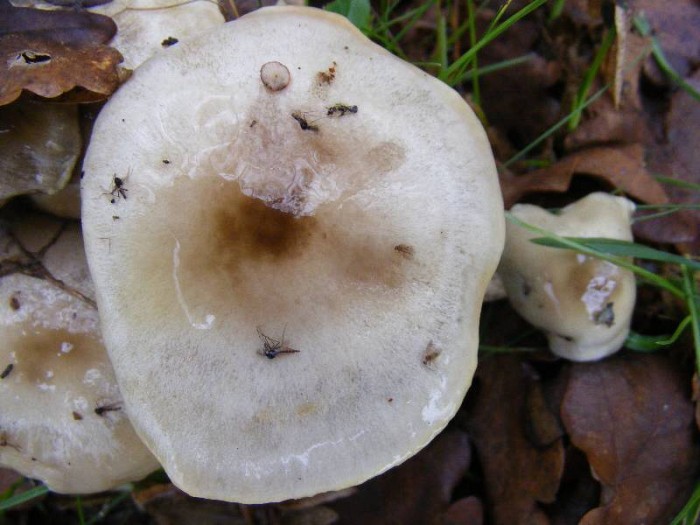 2009_0912essai0025.JPG