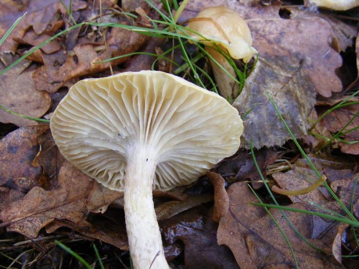 2009_0912essai0022.JPG