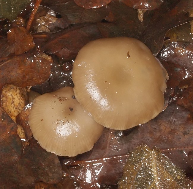 2009_12090017.JPG