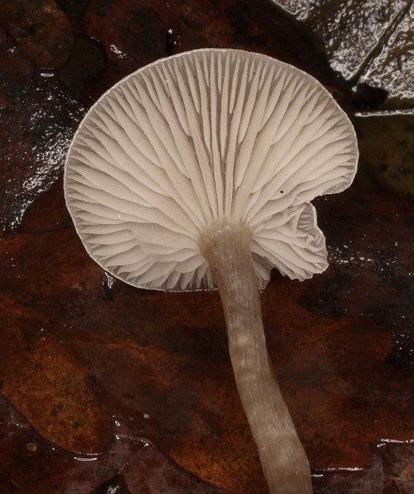 2009_12090020.JPG