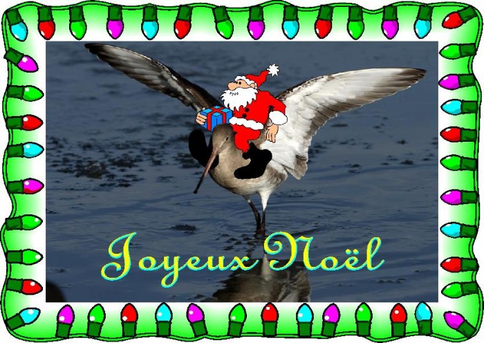 joyeux noel.JPG