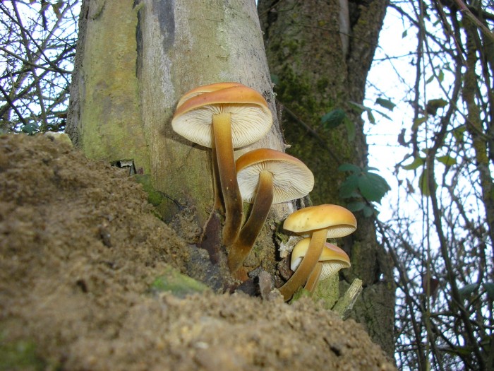 PC280031.JPG