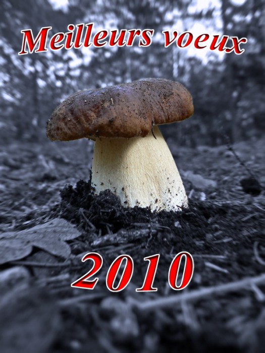 Voeux2010.jpg