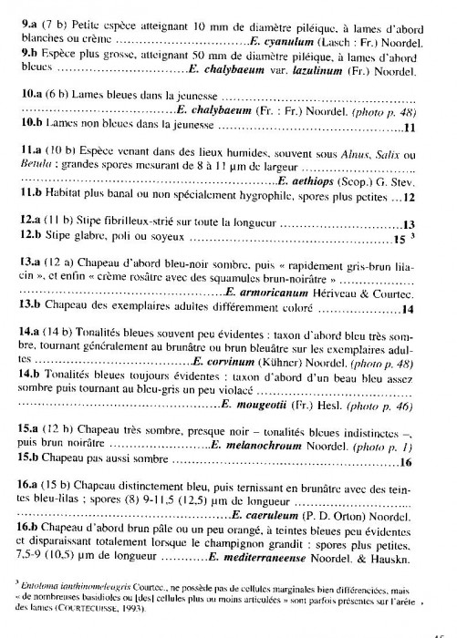 Cle entolomes bleus2.JPG