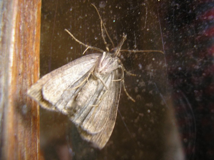 P1010003.JPG