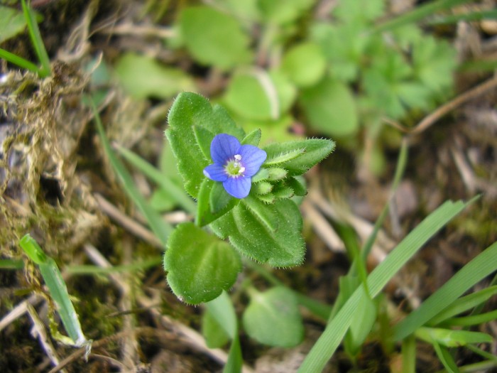 P4100002.JPG