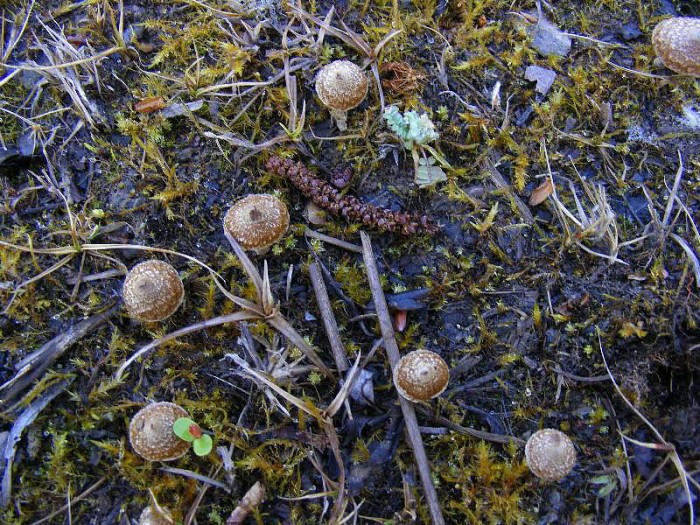 2010_0115avril0019.JPG