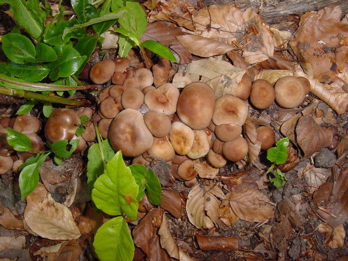 DSC00008.JPG