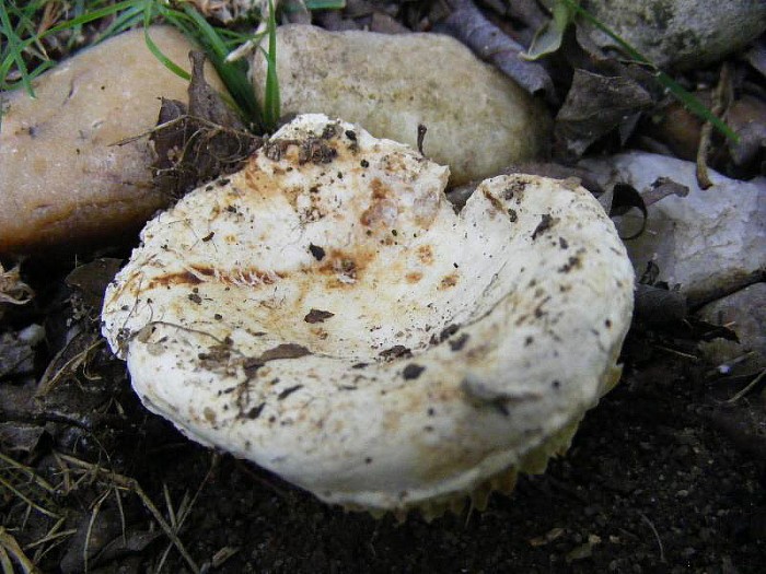 2010_0310avril0083.JPG