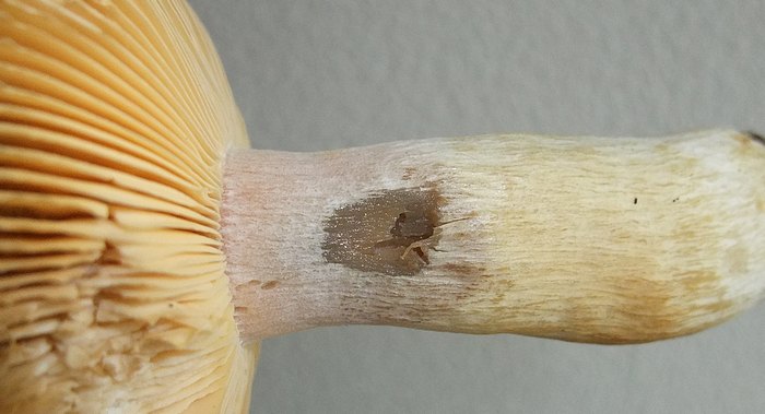 DSCF1146.JPG