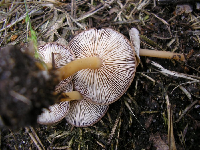 P6200018.JPG