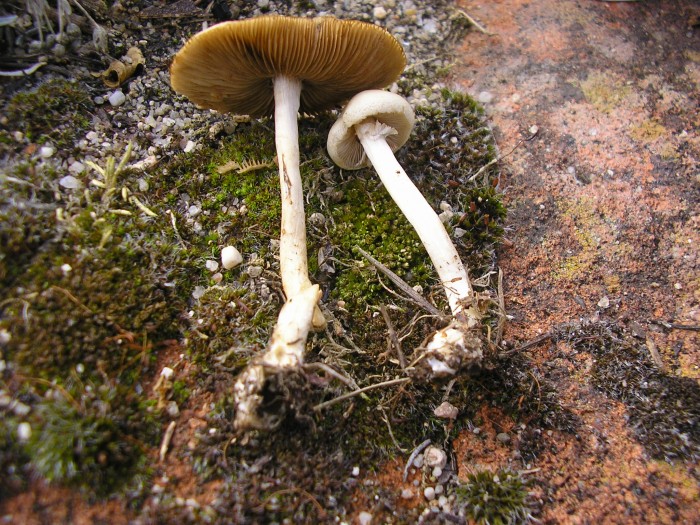 P6200023.JPG