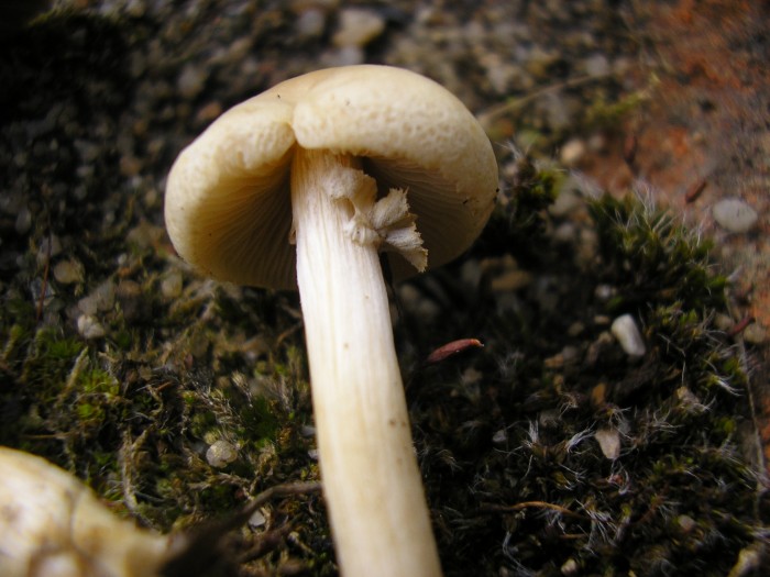 P6200025.JPG