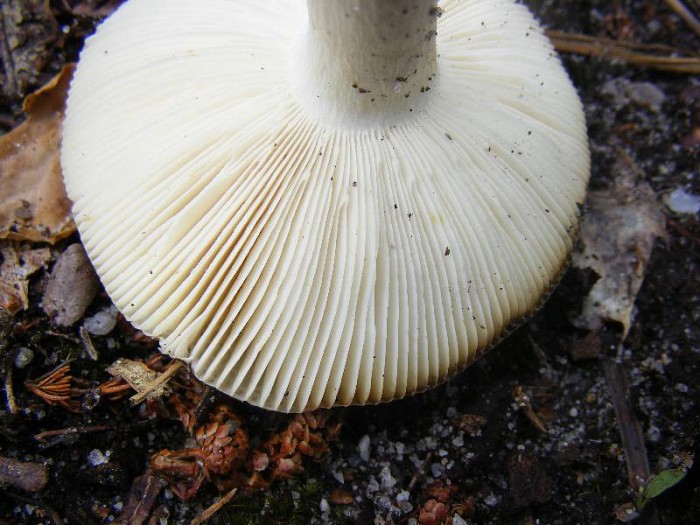 2010_0323avril0059.JPG