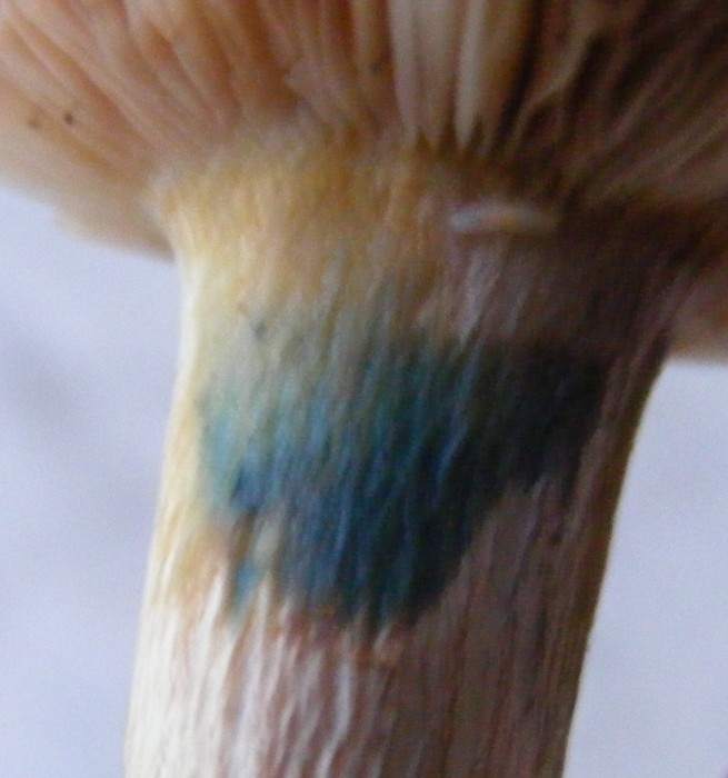 2010_0325avril0013.JPG