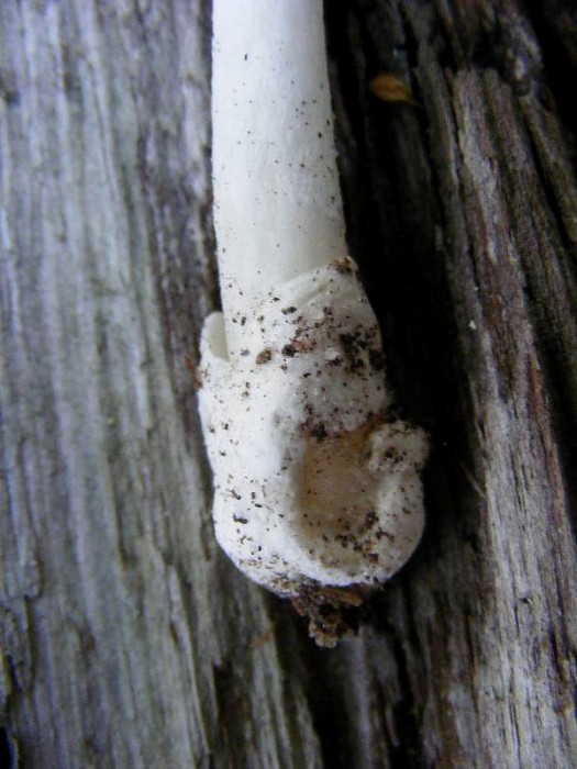 2010_0329avril0114.JPG