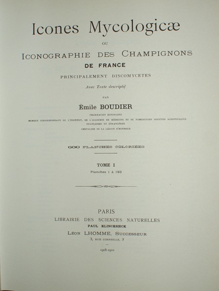 Boudier 1.jpg