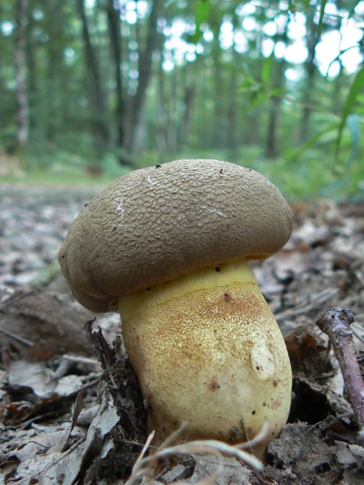 P1160353.jpg