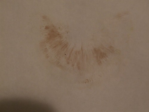 dscf5672rq6.jpg