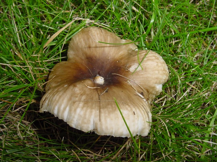DSC00024.JPG