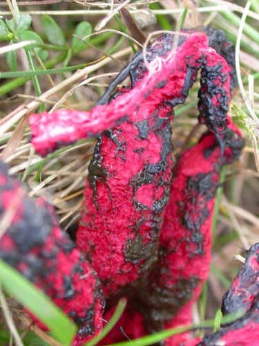 DSCN7760.jpg