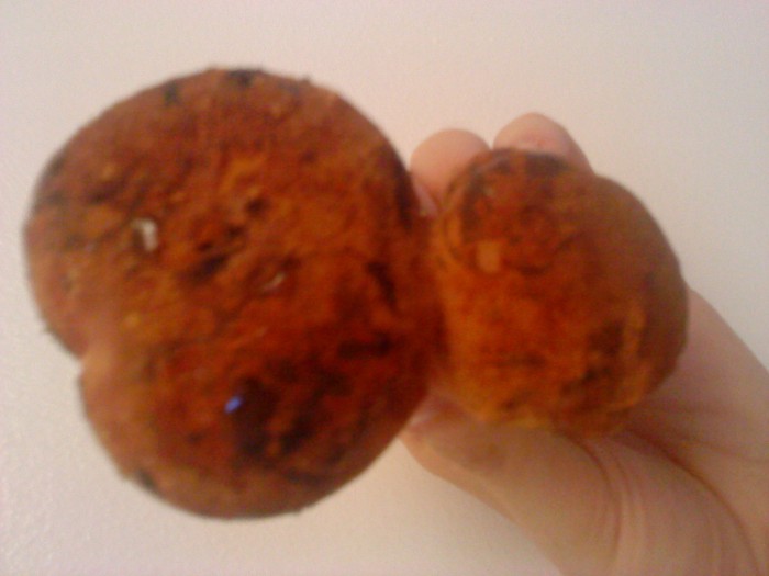 champi 005.jpg