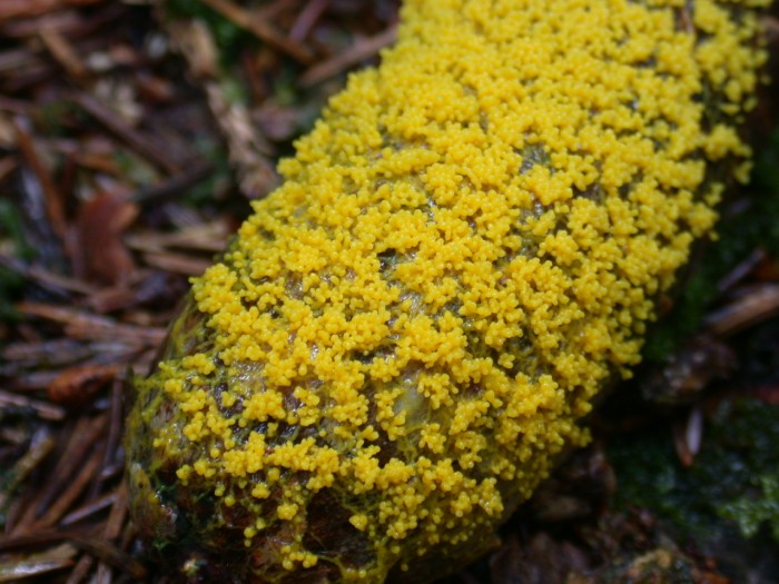 DSCN6647.JPG