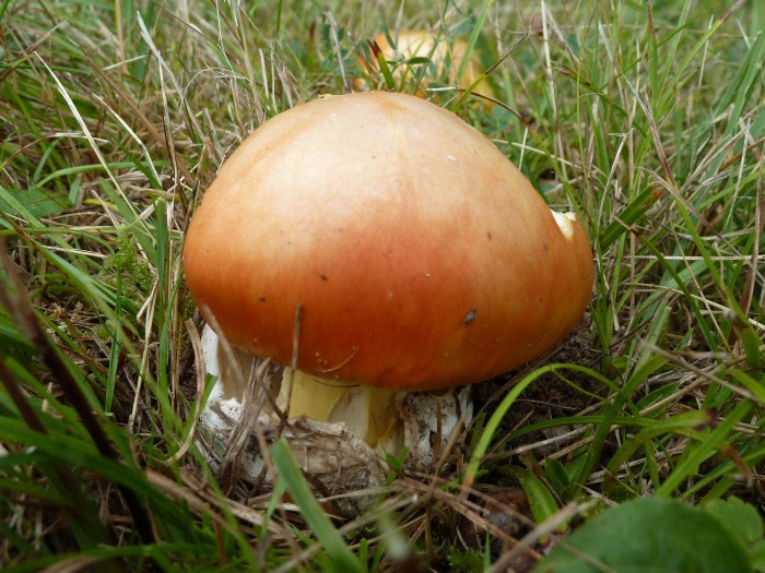 P1000193_.JPG