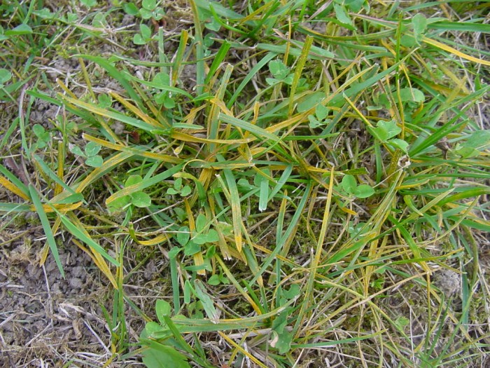 DSC00077.JPG