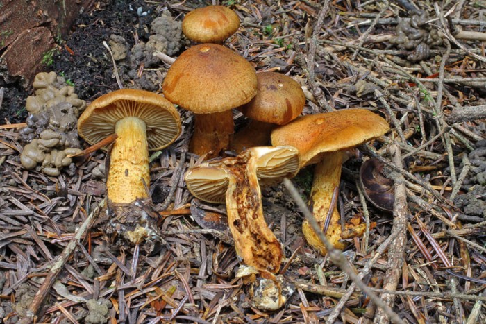 IMG011001.jpg