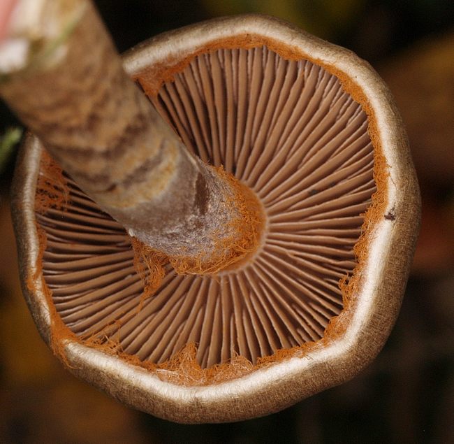 PA032150.JPG