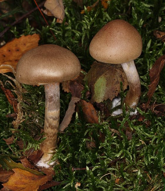 PA032160.JPG