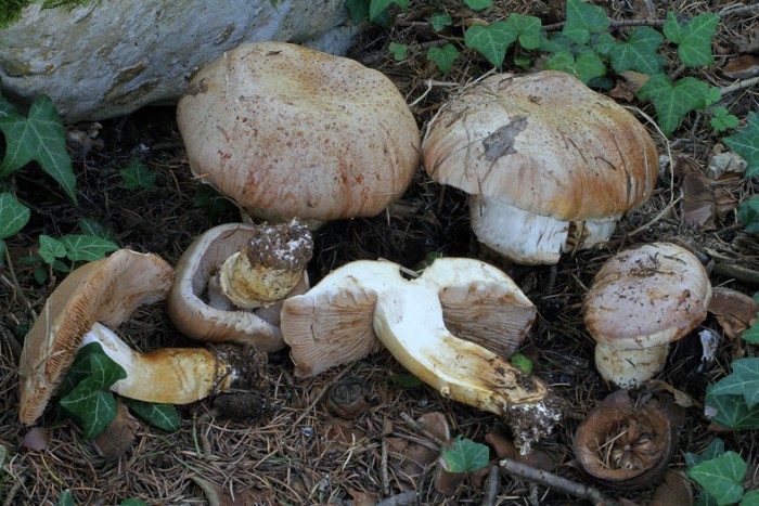 IMG03101009.jpg