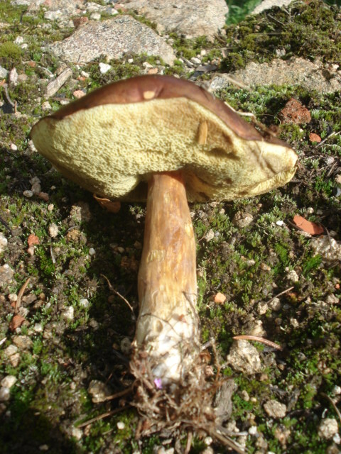 DSC00777.JPG