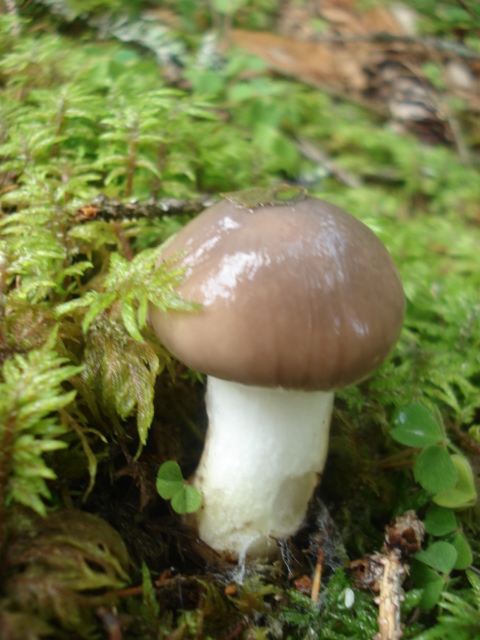 DSC00761.JPG