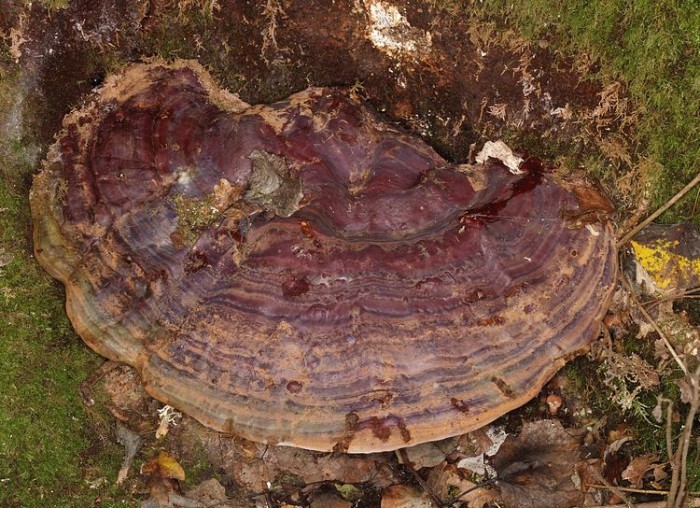 PA07229.JPG