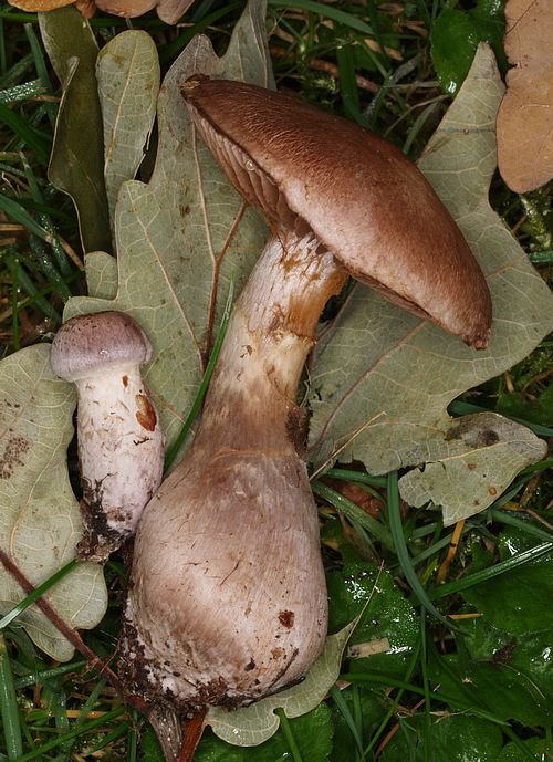PA07229.JPG