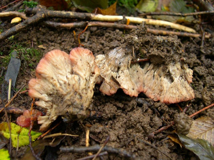 DSCN3778.JPG
